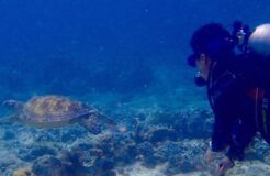 英文補習老師 英文補習