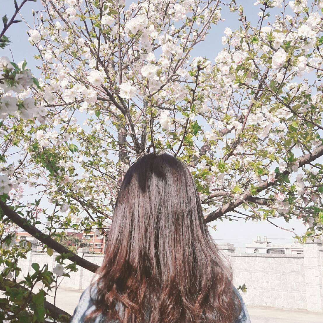 24059354_2030207017236235_6867595115561566025_o.jpg 24059354_2030207017236235_6867595115561566025_o.jpg