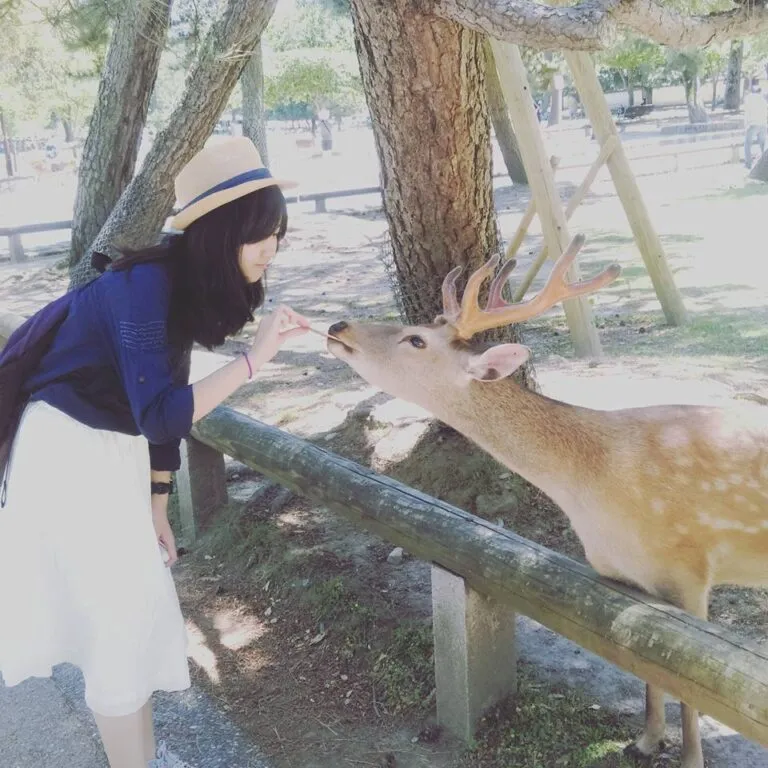 物理補習老師 物理補習